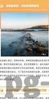 310即时足球比分-310即时足球比分，球迷的实时战场与数据革命