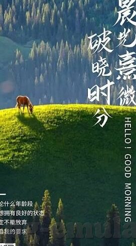 罗马足球实时比分-罗马足球实时比分，赛场风云的即时脉动与球迷的激情共鸣